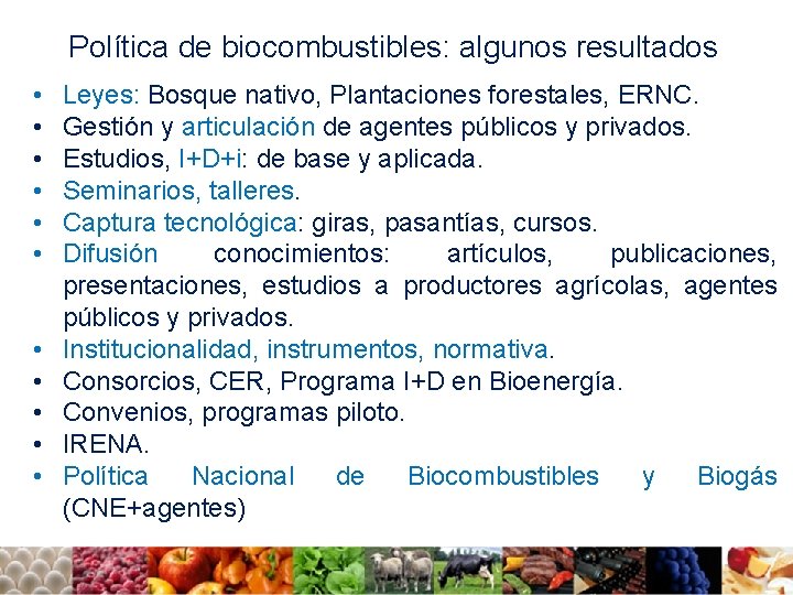 Política de biocombustibles: algunos resultados • • • Leyes: Bosque nativo, Plantaciones forestales, ERNC.