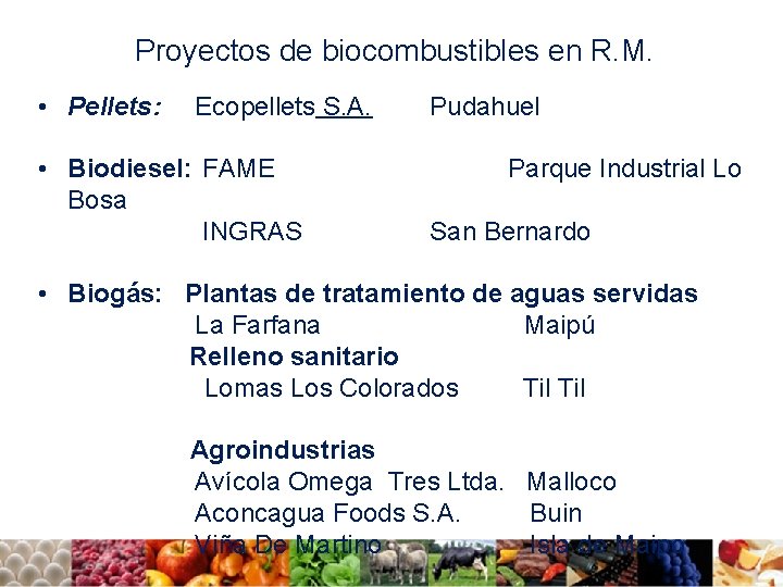 Proyectos de biocombustibles en R. M. • Pellets: Ecopellets S. A. • Biodiesel: FAME