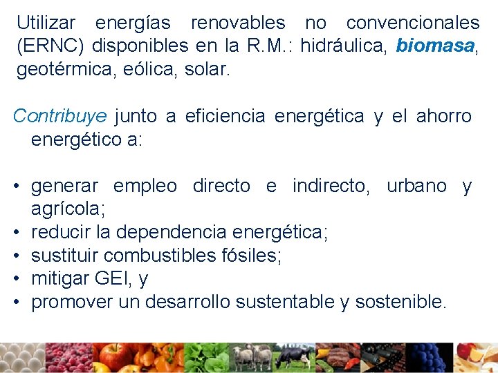 Utilizar energías renovables no convencionales (ERNC) disponibles en la R. M. : hidráulica, biomasa,