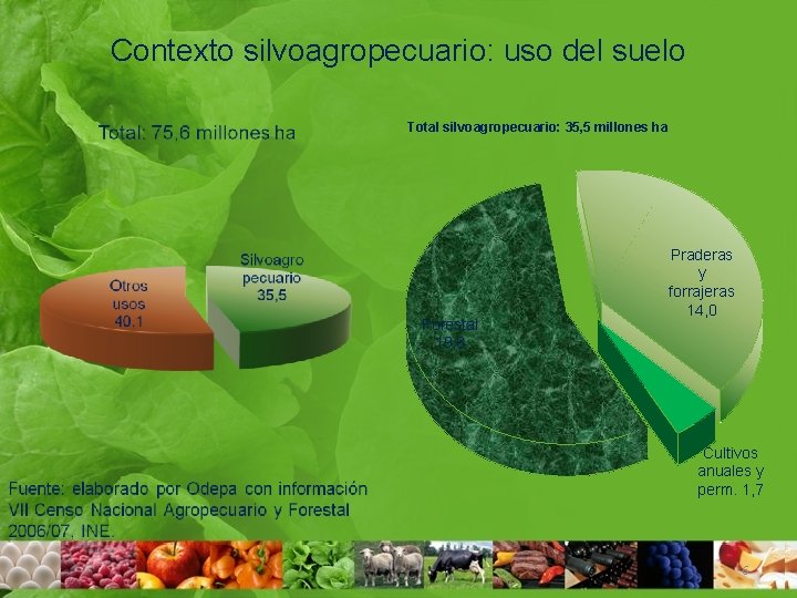 Contexto silvoagropecuario: uso del suelo Total silvoagropecuario: 35, 5 millones ha Forestal 19, 8