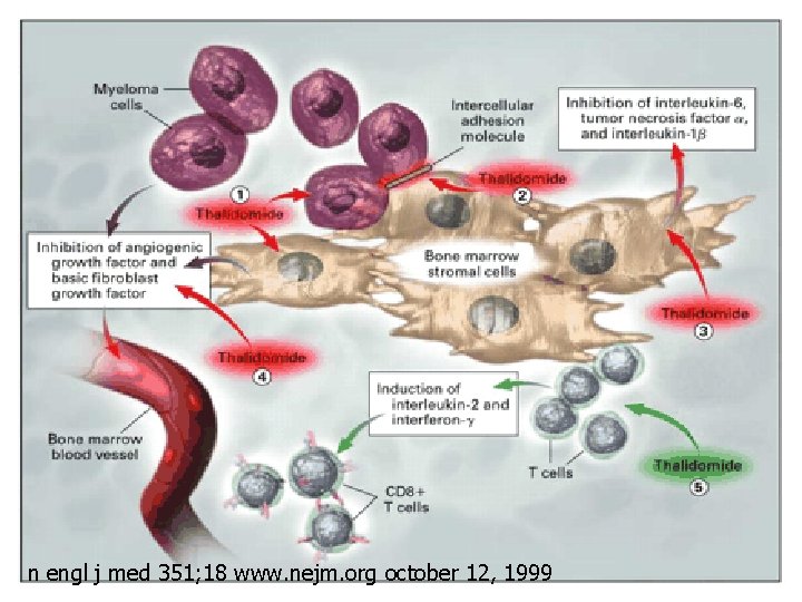 n engl j med 351; 18 www. nejm. org october 12, 1999 