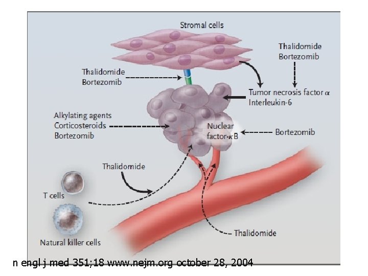 n engl j med 351; 18 www. nejm. org october 28, 2004 