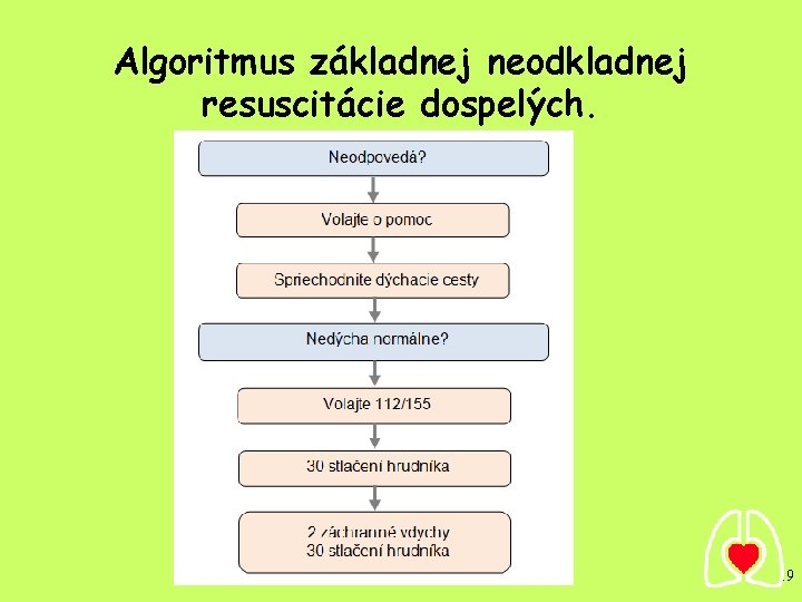 Algoritmus základnej neodkladnej resuscitácie dospelých. 19 