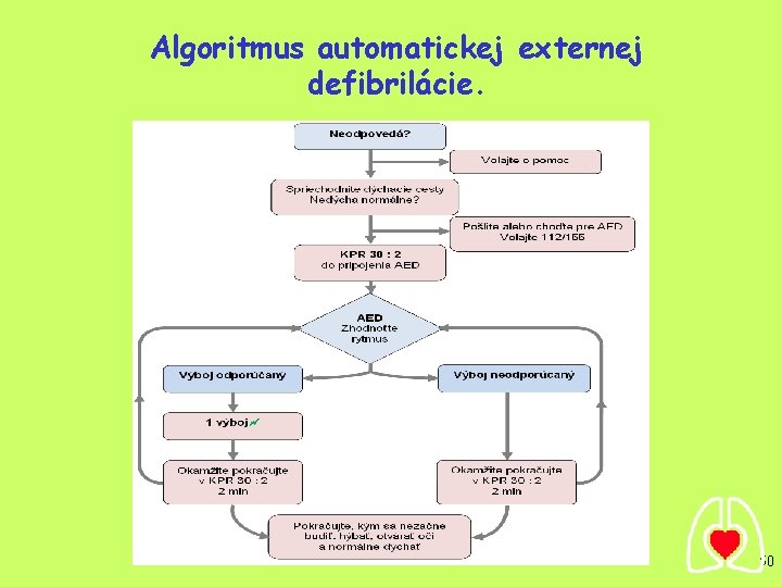 Algoritmus automatickej externej defibrilácie. 50 