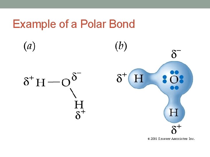 Example of a Polar Bond 