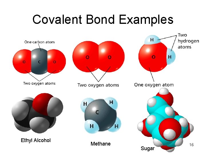Covalent Bond Examples Ethyl Alcohol Methane Sugar 16 
