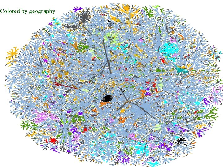 Colored by geography Mapping the Internet and intranets slide 53 of 120 