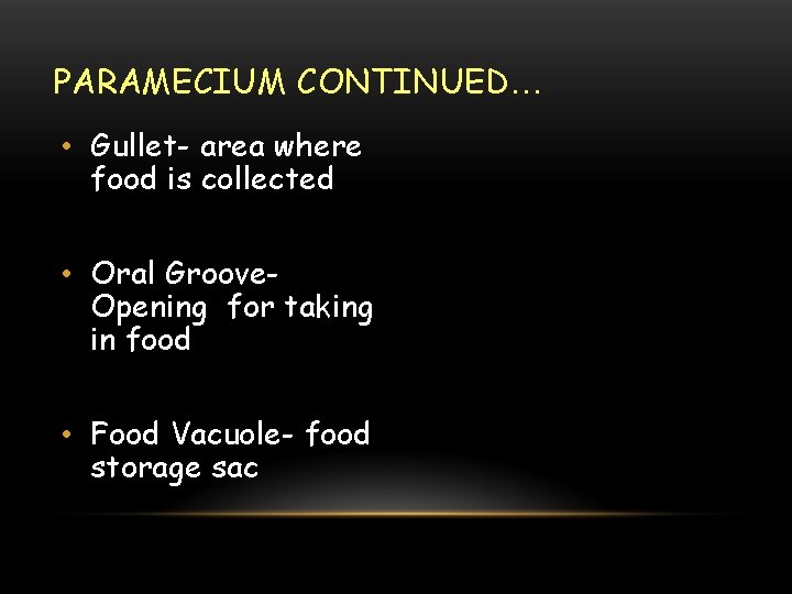 PARAMECIUM CONTINUED… • Gullet- area where food is collected • Oral Groove. Opening for