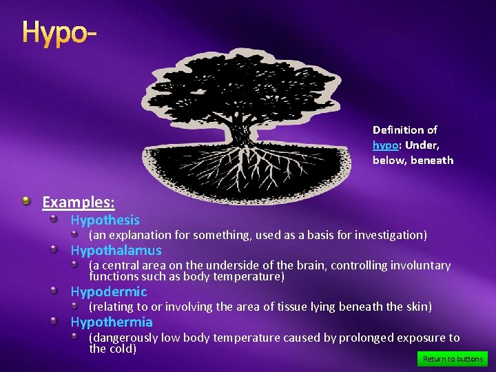 Hypo. Definition of hypo: Under, below, beneath Examples: Hypothesis (an explanation for something, used