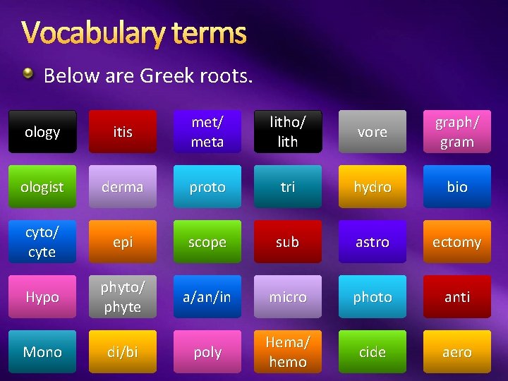Vocabulary terms Below are Greek roots. ology itis met/ meta ologist derma proto tri