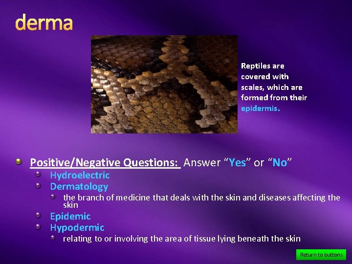 derma Reptiles are covered with scales, which are formed from their epidermis. Positive/Negative Questions: