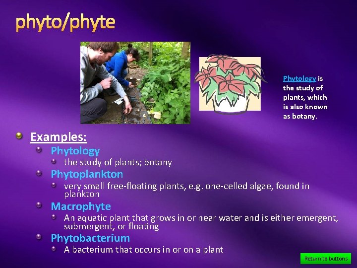 phyto/phyte Phytology is the study of plants, which is also known as botany. Examples: