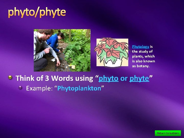 phyto/phyte Phytology is the study of plants, which is also known as botany. Think
