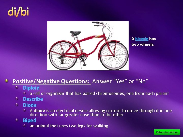 di/bi A bicycle has two wheels. Positive/Negative Questions: Answer “Yes” or “No” Diploid a