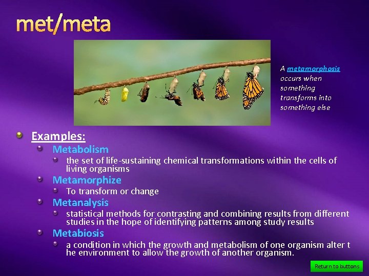 met/meta A metamorphosis occurs when something transforms into something else Examples: Metabolism the set