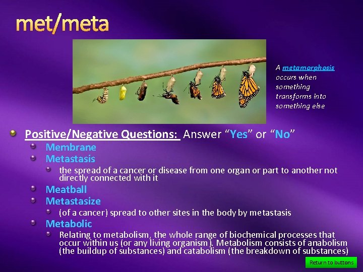 met/meta A metamorphosis occurs when something transforms into something else Positive/Negative Questions: Answer “Yes”