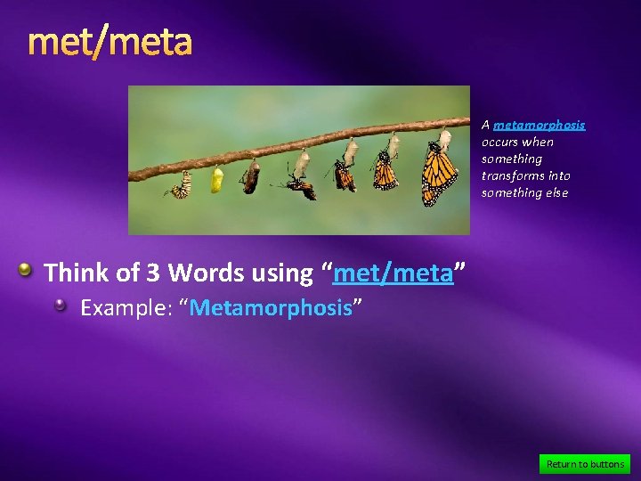 met/meta A metamorphosis occurs when something transforms into something else Think of 3 Words