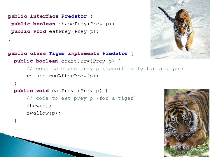 public interface Predator { public boolean chase. Prey(Prey p); public void eat. Prey(Prey p);