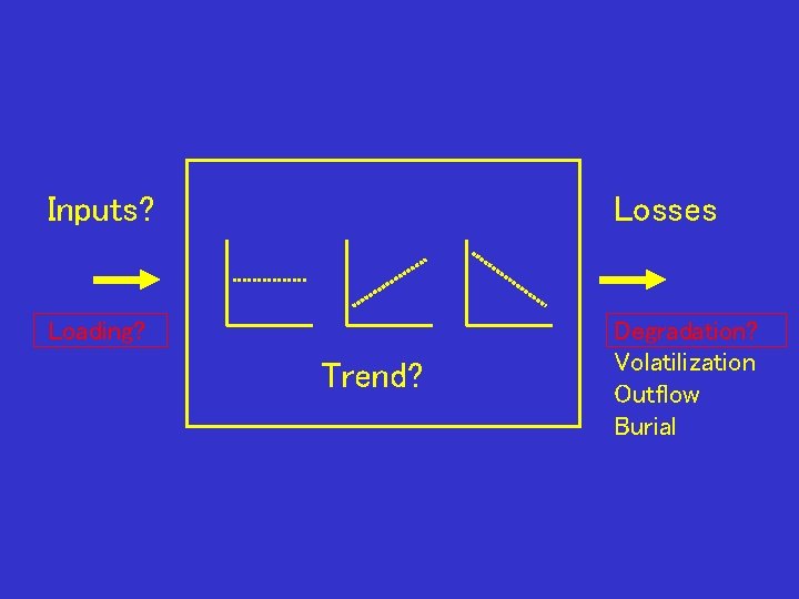 Inputs? Losses Loading? Degradation? Volatilization Outflow Burial Trend? 