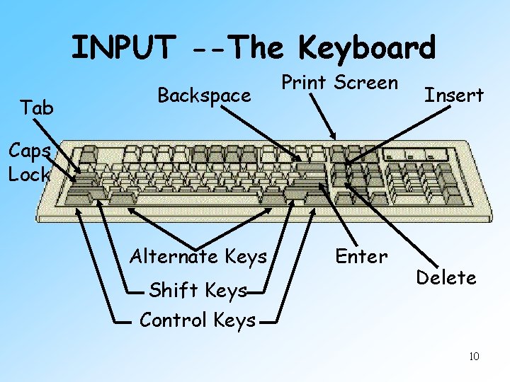 INPUT --The Keyboard Tab Backspace Print Screen Insert Caps Lock Alternate Keys Shift Keys