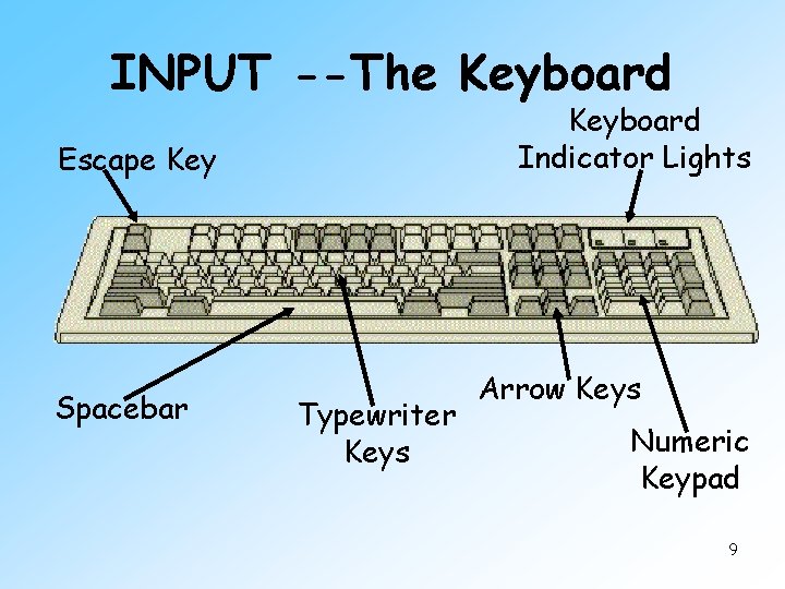 INPUT --The Keyboard Indicator Lights Escape Key Spacebar Typewriter Keys Arrow Keys Numeric Keypad
