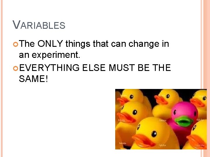 VARIABLES The ONLY things that can change in an experiment. EVERYTHING ELSE MUST BE