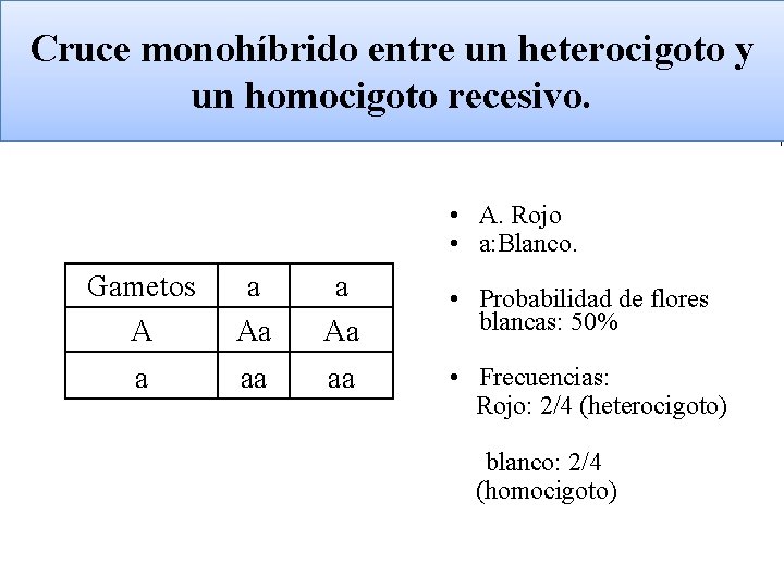 GENÉTICA LEYES DE MENDEL Biología y Geología 4º ESO Cruce monohíbrido entre un heterocigoto