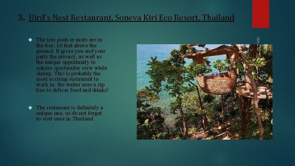 3. Bird’s Nest Restaurant, Soneva Kiri Eco Resort, Thailand The tree pods or nests 3. Bird’s Nest Restaurant, Soneva Kiri Eco Resort, Thailand The tree pods or nests