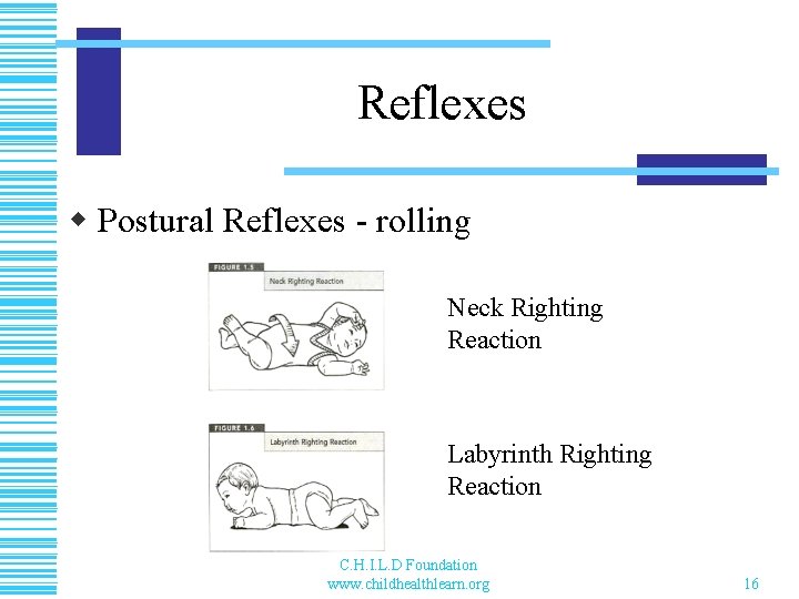 Reflexes w Postural Reflexes - rolling Neck Righting Reaction Labyrinth Righting Reaction C. H.