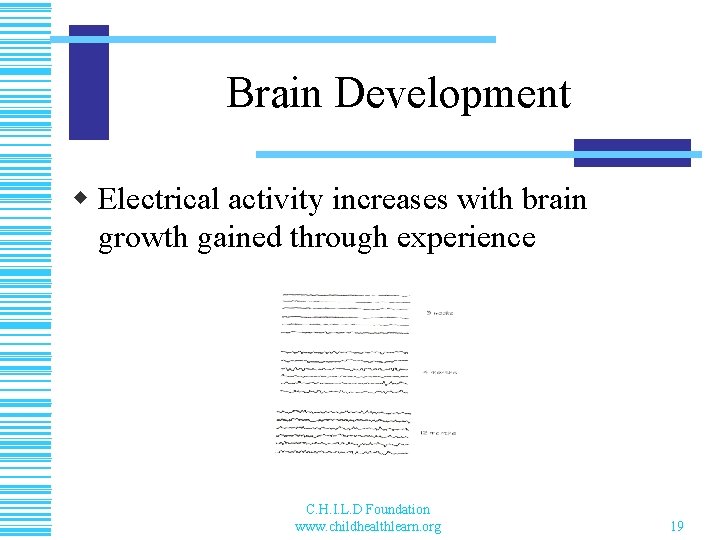 Brain Development w Electrical activity increases with brain growth gained through experience C. H.
