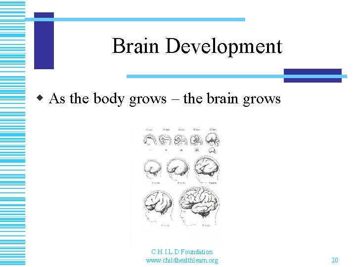 Brain Development w As the body grows – the brain grows C. H. I.