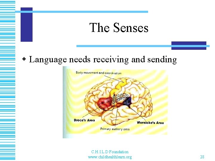 The Senses w Language needs receiving and sending C. H. I. L. D Foundation