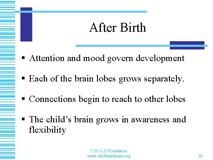 After Birth § Attention and mood govern development § Each of the brain lobes