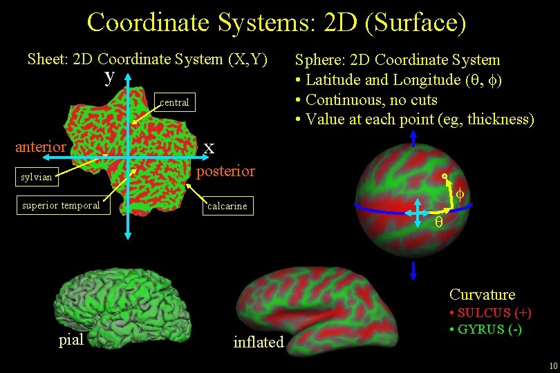 Coordinate Systems: 2 D (Surface) Sheet: 2 D Coordinate System (X, Y) y central