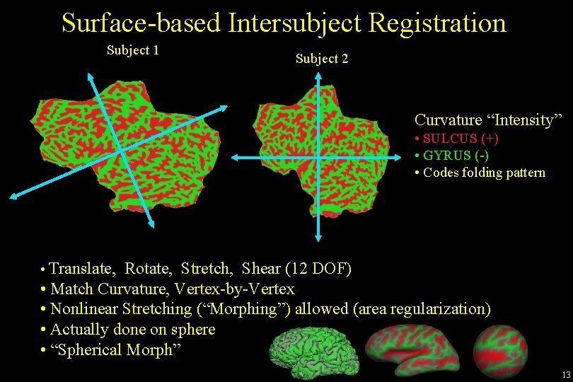 Surface-based Intersubject Registration Subject 1 Subject 2 Curvature “Intensity” • SULCUS (+) • GYRUS