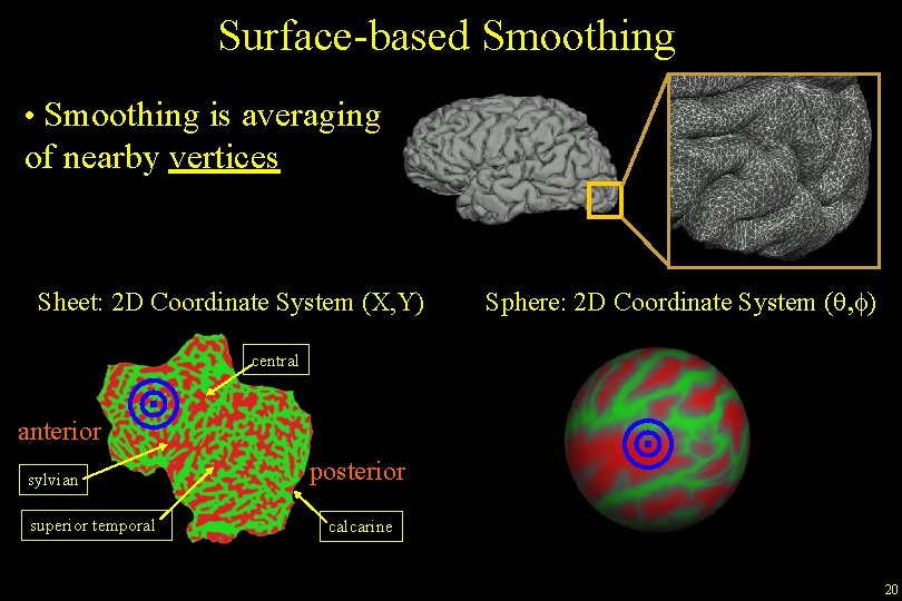 Surface-based Smoothing • Smoothing is averaging of nearby vertices Sheet: 2 D Coordinate System