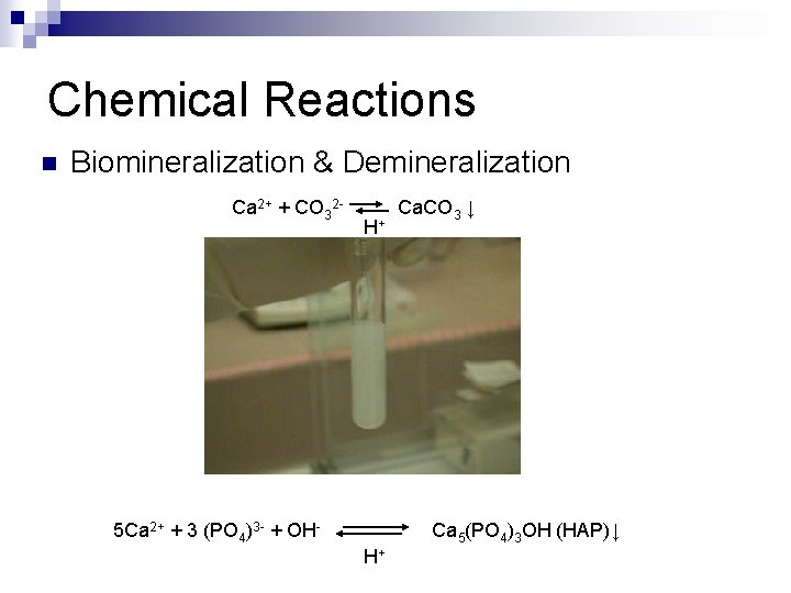 Chemical Reactions n Biomineralization & Demineralization Ca 2+ + CO 32 - H+ 5