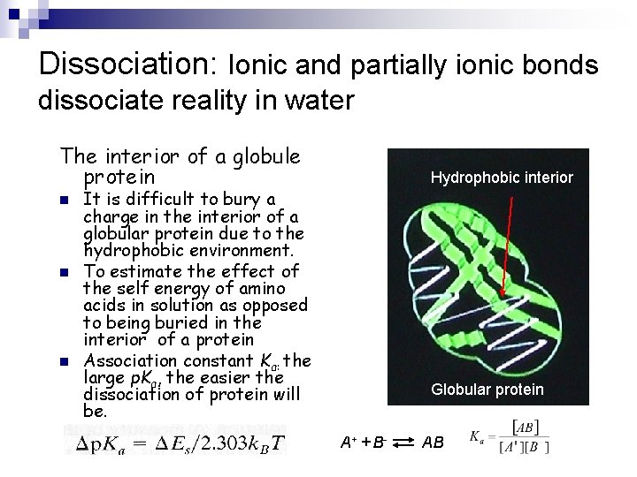 Dissociation: Ionic and partially ionic bonds dissociate reality in water The interior of a