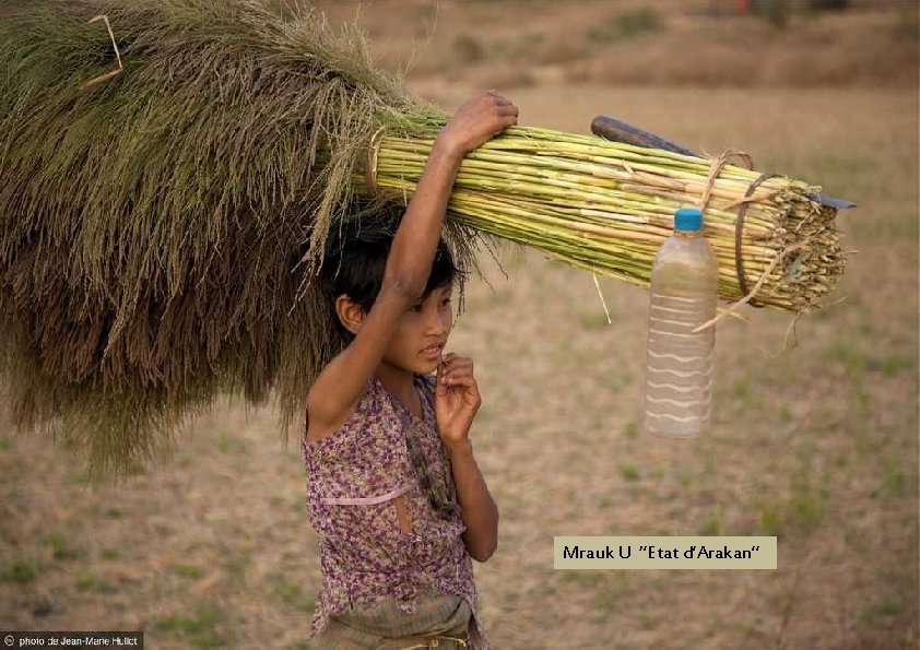 Mrauk U ‘’Etat d’Arakan’’ 