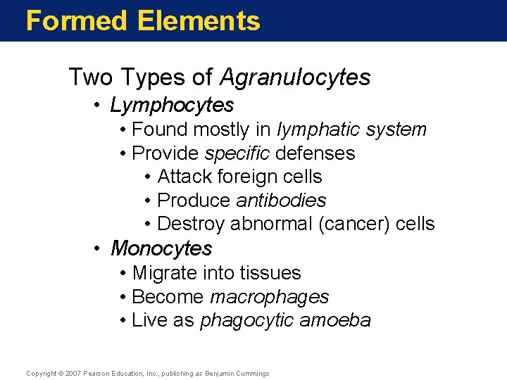Formed Elements Two Types of Agranulocytes • Lymphocytes • Found mostly in lymphatic system