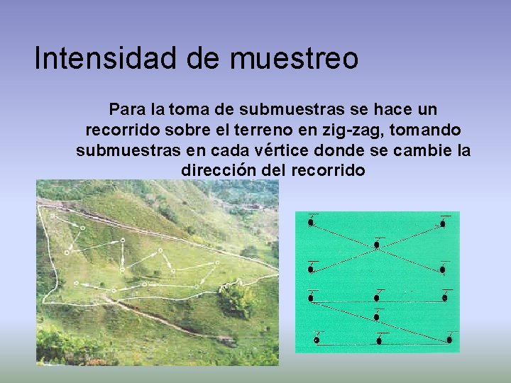 Intensidad de muestreo Para la toma de submuestras se hace un recorrido sobre el