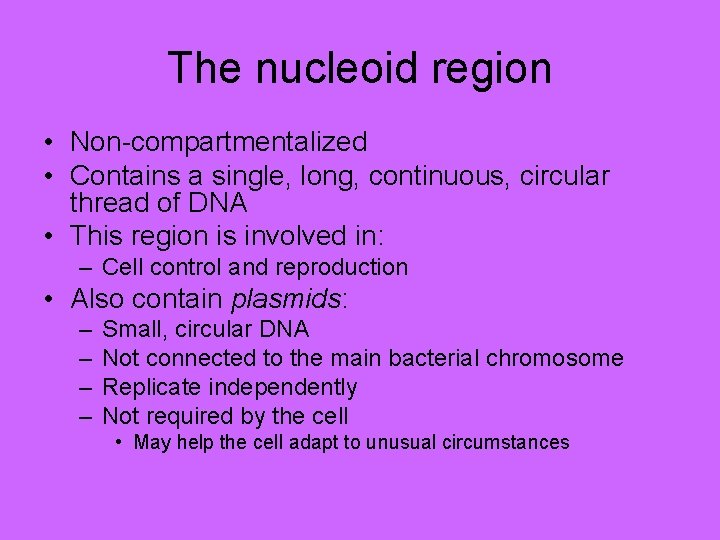 The nucleoid region • Non-compartmentalized • Contains a single, long, continuous, circular thread of