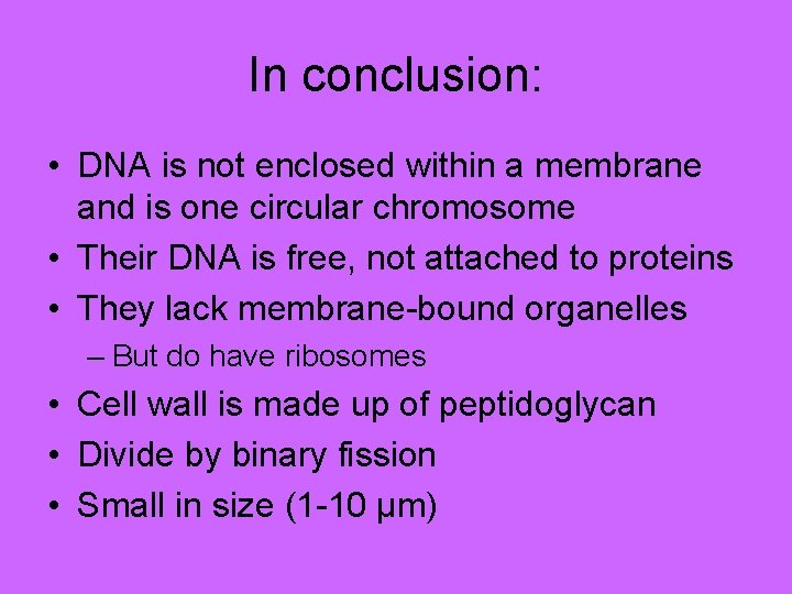 In conclusion: • DNA is not enclosed within a membrane and is one circular