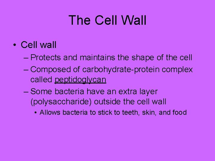 The Cell Wall • Cell wall – Protects and maintains the shape of the