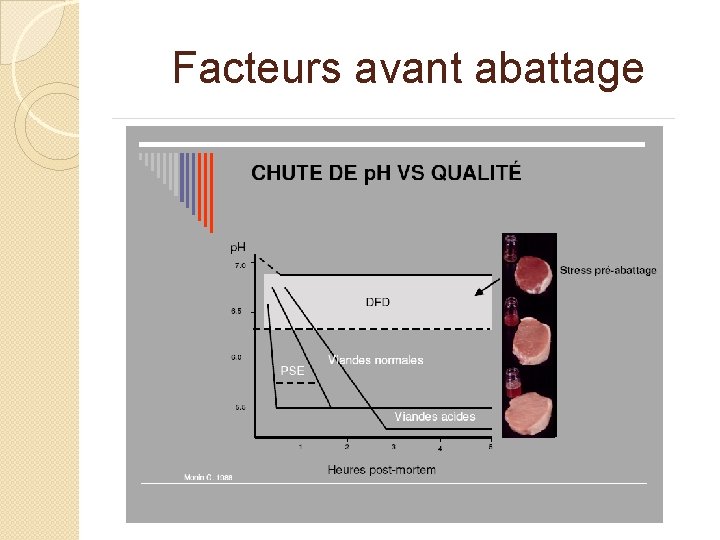 Facteurs avant abattage 