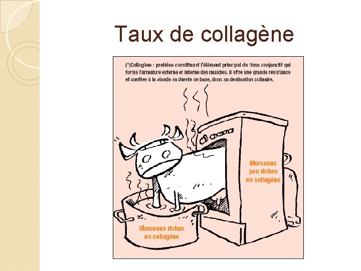 Taux de collagène 