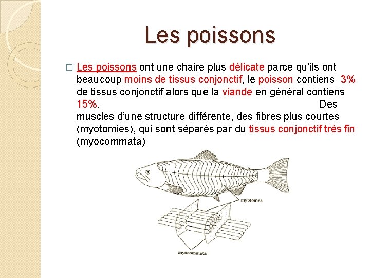 Les poissons � Les poissons ont une chaire plus délicate parce qu’ils ont beaucoup