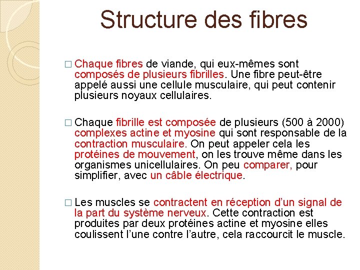 Structure des fibres � Chaque fibres de viande, qui eux-mêmes sont composés de plusieurs