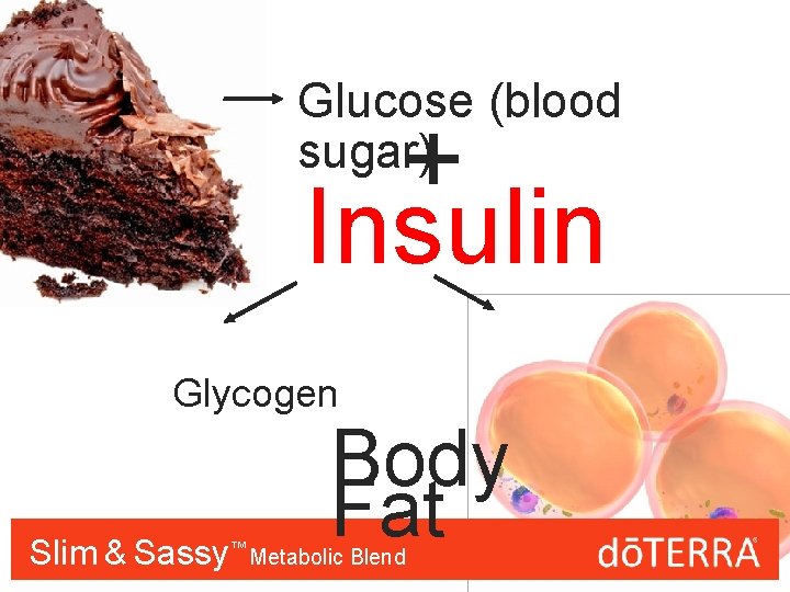 Glucose (blood sugar) + Insulin Glycogen Body Fat Slim & Sassy™™ Metabolic Blend 
