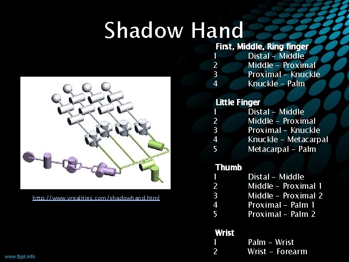 Shadow Hand First, Middle, Ring finger 1 Distal - Middle 2 Middle - Proximal